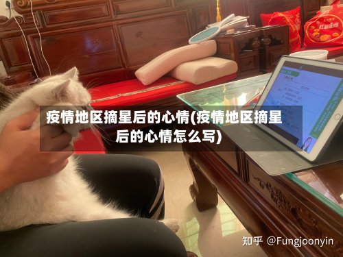 疫情地区摘星后的心情(疫情地区摘星后的心情怎么写)-第3张图片