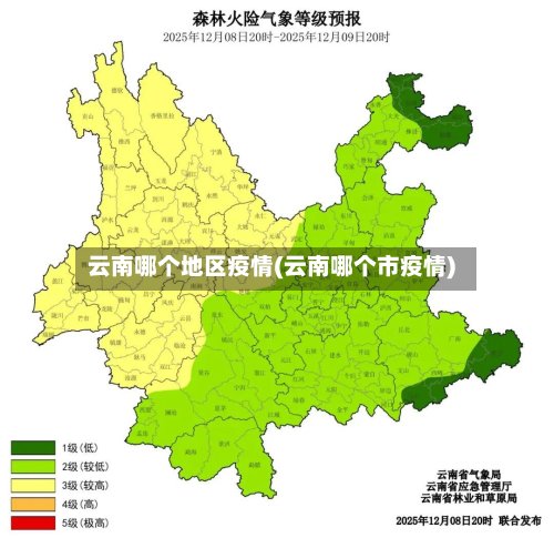 云南哪个地区疫情(云南哪个市疫情)