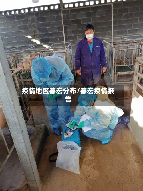 疫情地区德宏分布/德宏疫情报告