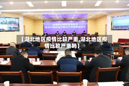 【湖北地区疫情比较严重,湖北地区疫情比较严重吗】-第3张图片