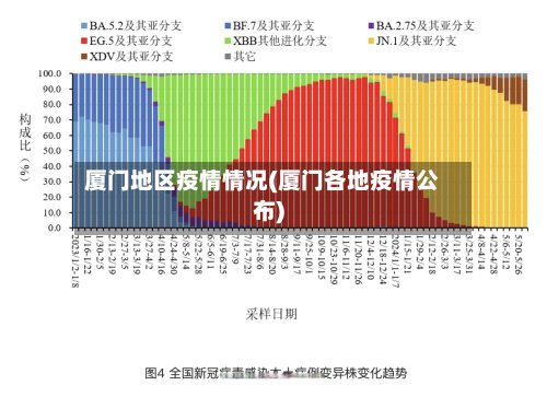 厦门地区疫情情况(厦门各地疫情公布)