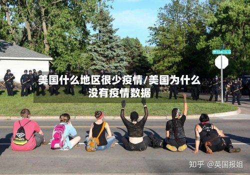 美国什么地区很少疫情/美国为什么没有疫情数据-第3张图片