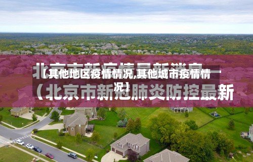 【其他地区疫情情况,其他城市疫情情况】