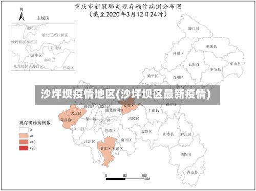 沙坪坝疫情地区(沙坪坝区最新疫情)-第3张图片