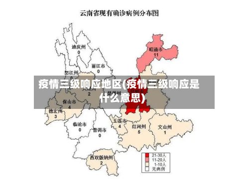 疫情三级响应地区(疫情三级响应是什么意思)-第2张图片