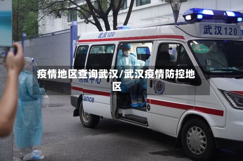 疫情地区查询武汉/武汉疫情防控地区-第2张图片