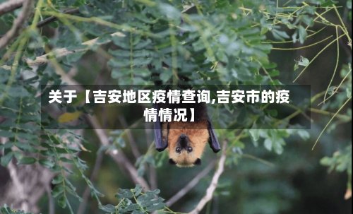 关于【吉安地区疫情查询,吉安市的疫情情况】