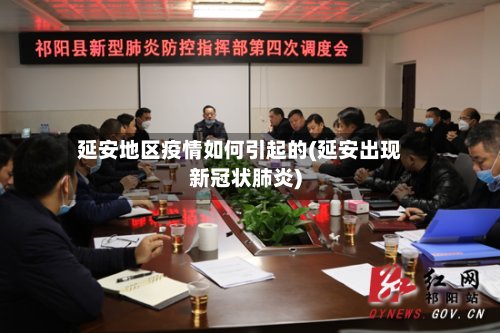 延安地区疫情如何引起的(延安出现新冠状肺炎)-第2张图片