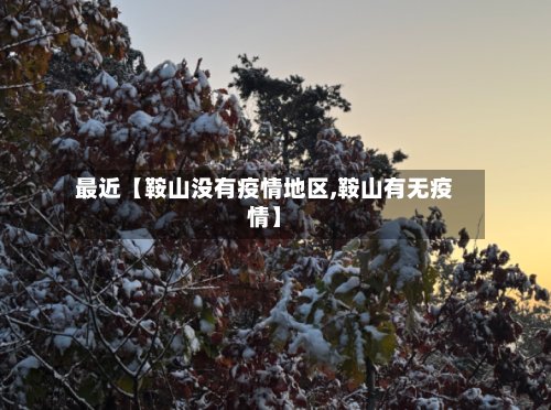 最近【鞍山没有疫情地区,鞍山有无疫情】-第3张图片