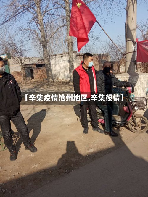 【辛集疫情沧州地区,辛集役情】