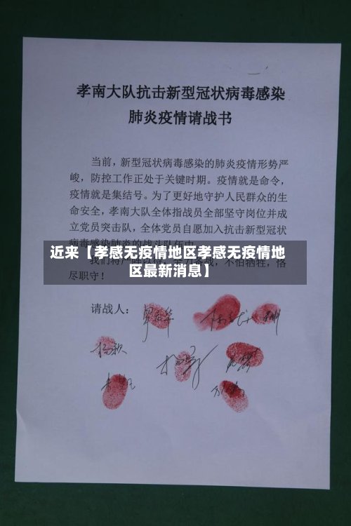 近来【孝感无疫情地区孝感无疫情地区最新消息】-第3张图片