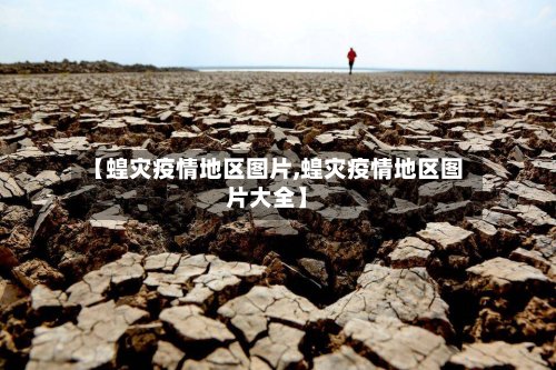 【蝗灾疫情地区图片,蝗灾疫情地区图片大全】