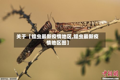 关于【蝗虫最新疫情地区,蝗虫最新疫情地区图】