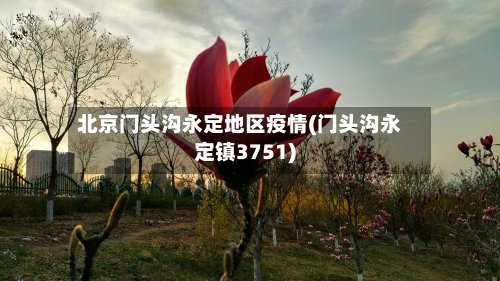 北京门头沟永定地区疫情(门头沟永定镇3751)