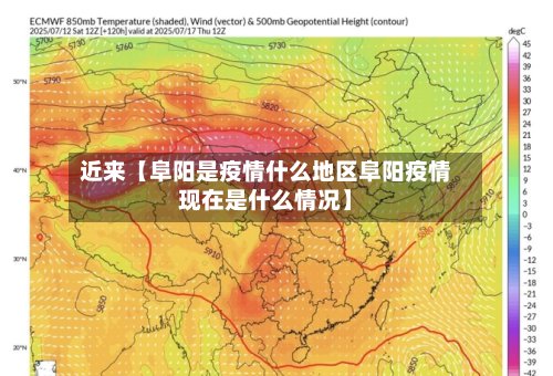 近来【阜阳是疫情什么地区阜阳疫情现在是什么情况】-第2张图片