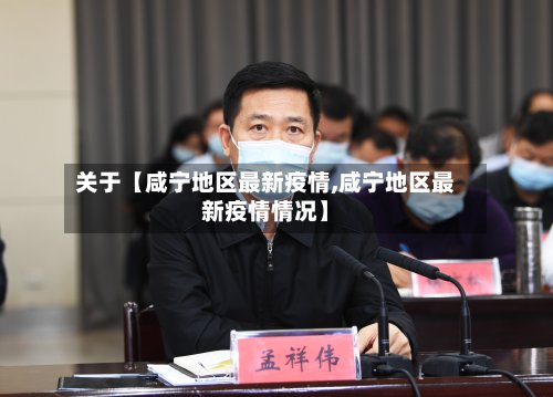 关于【咸宁地区最新疫情,咸宁地区最新疫情情况】