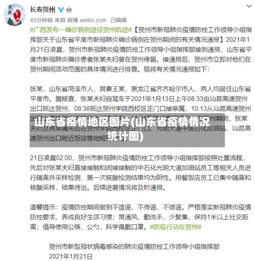 山东省疫情地区图片(山东省疫情情况统计图)-第3张图片