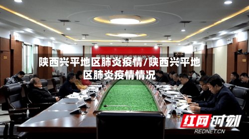 陕西兴平地区肺炎疫情/陕西兴平地区肺炎疫情情况