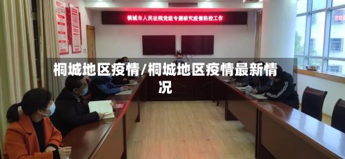 桐城地区疫情/桐城地区疫情最新情况-第3张图片