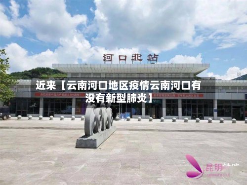 近来【云南河口地区疫情云南河口有没有新型肺炎】-第2张图片