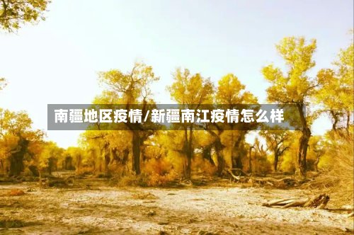 南疆地区疫情/新疆南江疫情怎么样-第2张图片