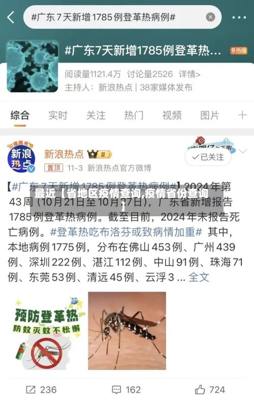 最近【省地区疫情查询,疫情省份查询】