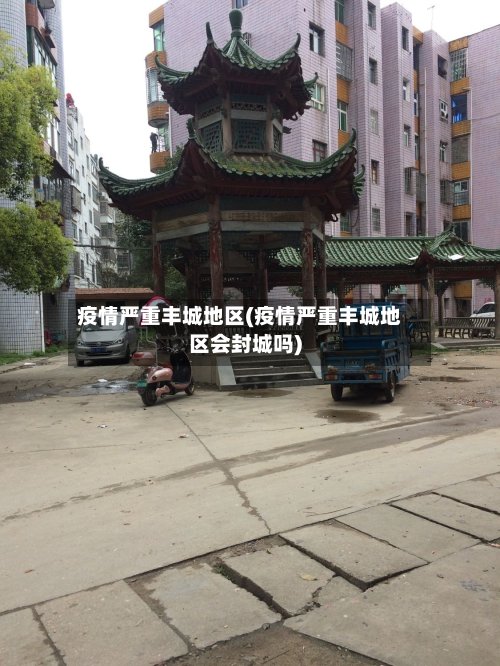 疫情严重丰城地区(疫情严重丰城地区会封城吗)-第2张图片