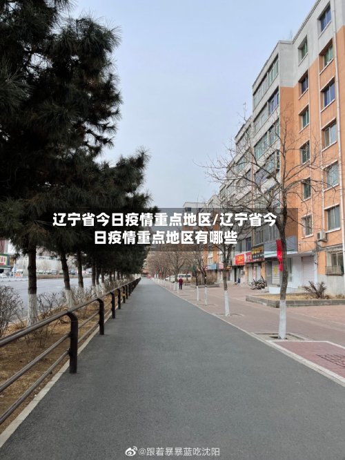 辽宁省今日疫情重点地区/辽宁省今日疫情重点地区有哪些-第2张图片