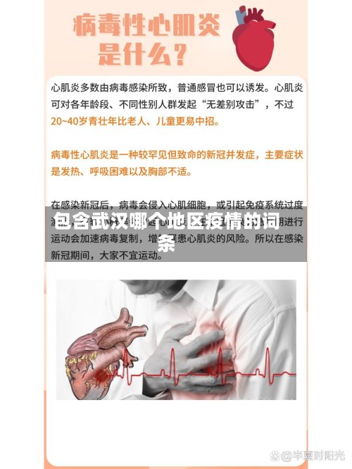 包含武汉哪个地区疫情的词条