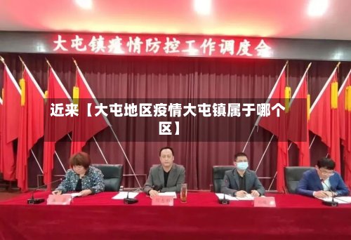 近来【大屯地区疫情大屯镇属于哪个区】-第2张图片