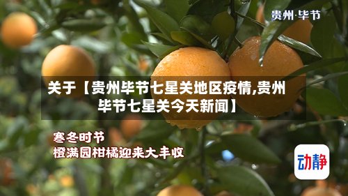 关于【贵州毕节七星关地区疫情,贵州毕节七星关今天新闻】-第3张图片