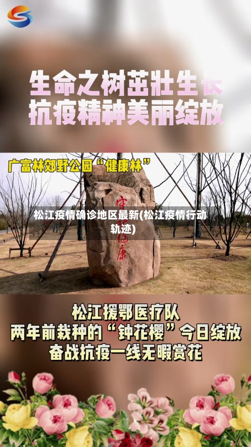 松江疫情确诊地区最新(松江疫情行动轨迹)-第2张图片
