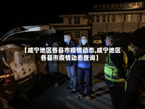 【咸宁地区各县市疫情动态,咸宁地区各县市疫情动态查询】