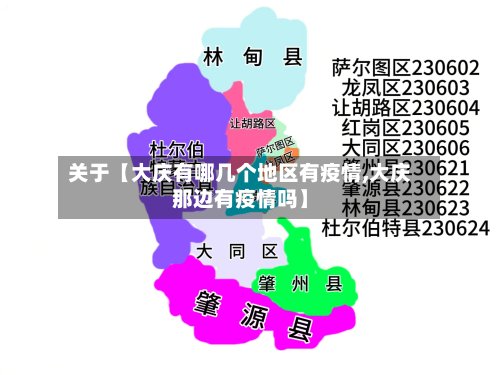 关于【大庆有哪几个地区有疫情,大庆那边有疫情吗】-第3张图片