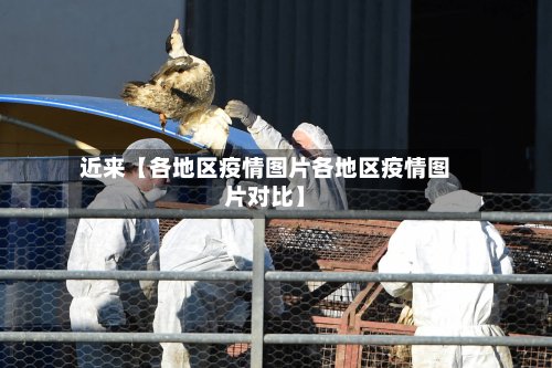 近来【各地区疫情图片各地区疫情图片对比】