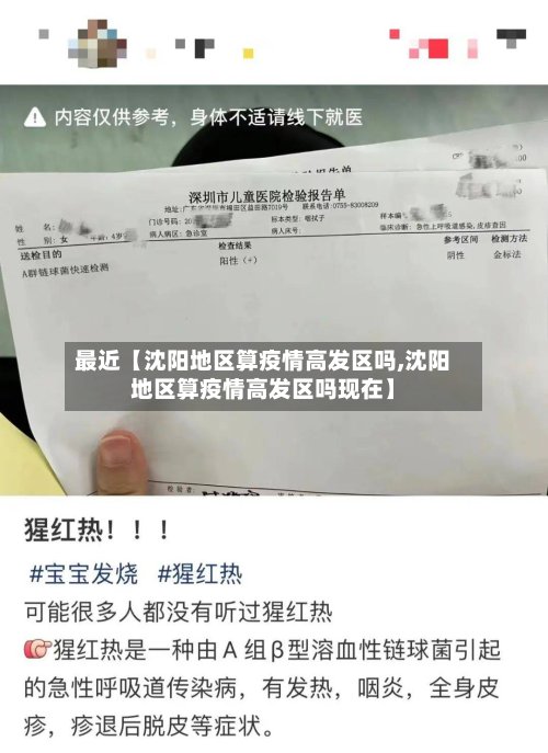最近【沈阳地区算疫情高发区吗,沈阳地区算疫情高发区吗现在】-第2张图片