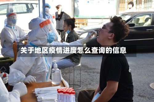 关于地区疫情进度怎么查询的信息-第2张图片