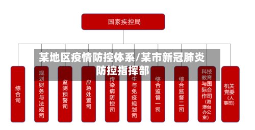 某地区疫情防控体系/某市新冠肺炎防控指挥部