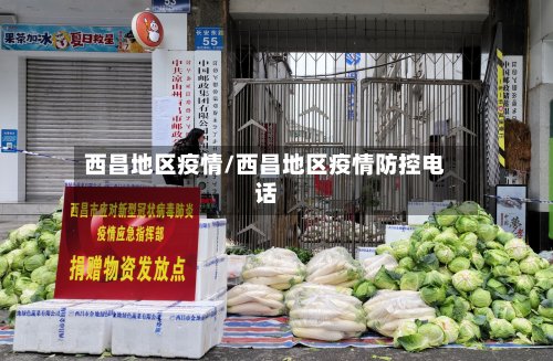 西昌地区疫情/西昌地区疫情防控电话-第2张图片