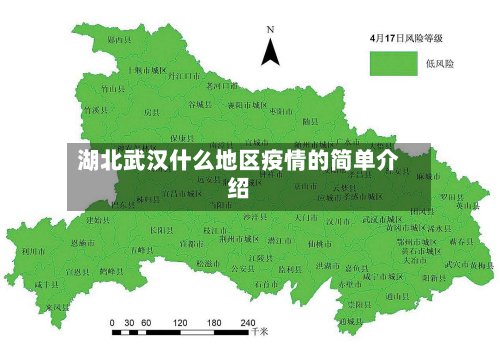 湖北武汉什么地区疫情的简单介绍-第2张图片