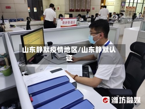 山东静默疫情地区/山东静默认证-第3张图片