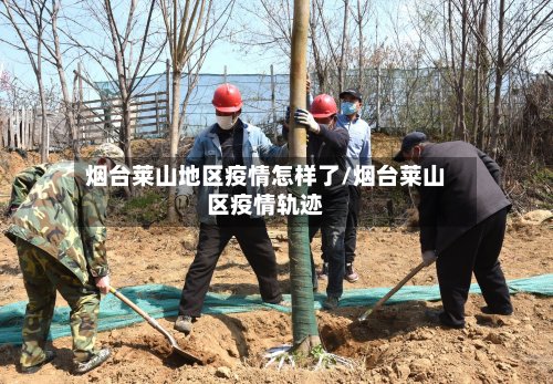 烟台莱山地区疫情怎样了/烟台莱山区疫情轨迹-第3张图片