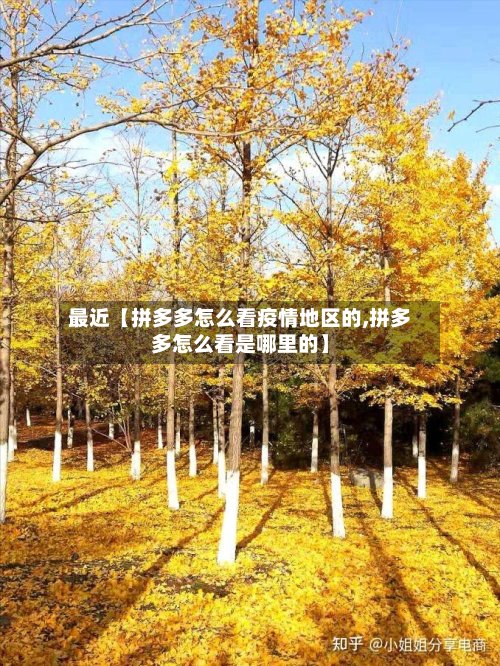 最近【拼多多怎么看疫情地区的,拼多多怎么看是哪里的】