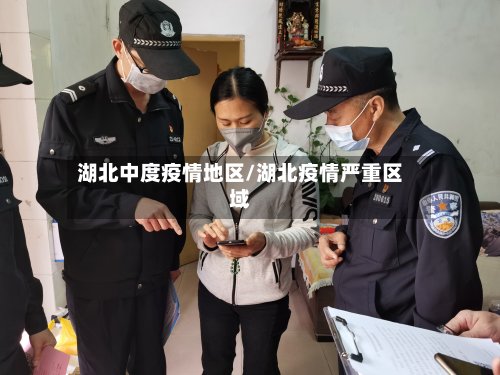 湖北中度疫情地区/湖北疫情严重区域-第3张图片