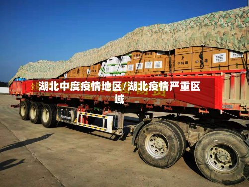 湖北中度疫情地区/湖北疫情严重区域