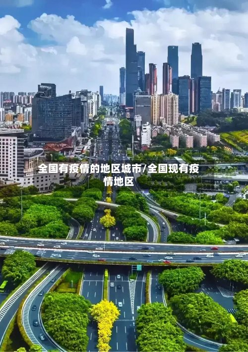 全国有疫情的地区城市/全国现有疫情地区