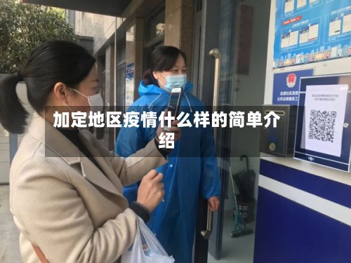 加定地区疫情什么样的简单介绍-第3张图片