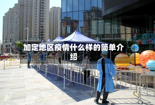 加定地区疫情什么样的简单介绍-第2张图片