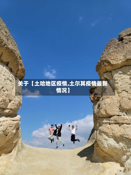 关于【土哈地区疫情,土尔其疫情最新情况】-第2张图片