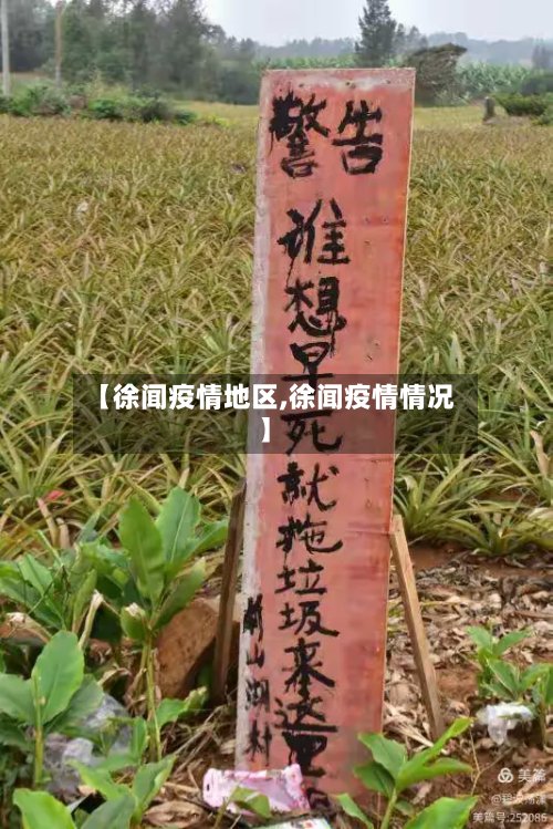 【徐闻疫情地区,徐闻疫情情况】-第3张图片